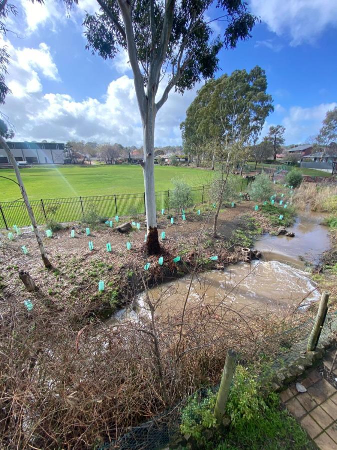 Hahndorf Motel Екстериор снимка